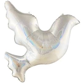 Шар Голубь, голография