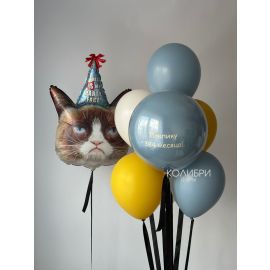 Набор шаров с серьезным котом